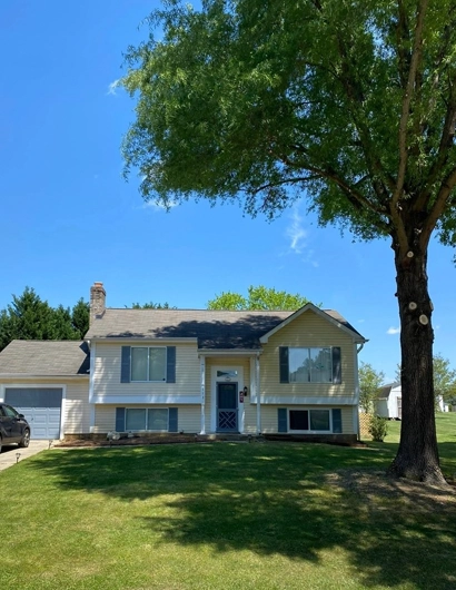 Professional Tree Trimming and Pruning